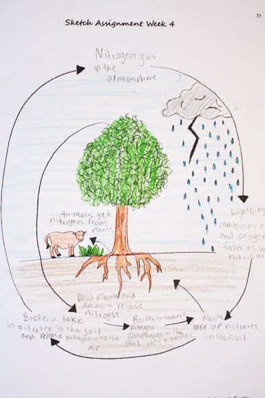 6th Grade Homeschool Curriculum - Homeschool Notes